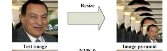 image-20220825211449707